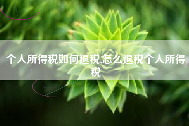 详细阅读:个人所得税如何退税,怎么退税个人所得税 个人所得税如何退税,怎么退税个人所得税
