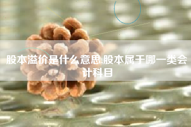 股本溢价是什么意思,股本属于哪一类会计科目