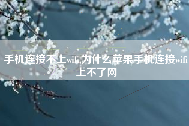 手机连接不上wifi,为什么苹果手机连接wifi上不了网