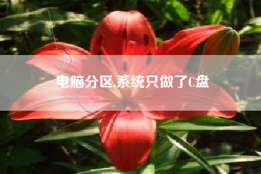 电脑分区,系统只做了C盘