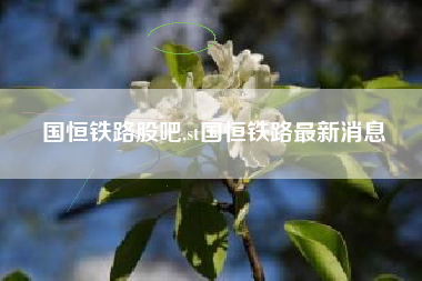 国恒铁路股吧,st国恒铁路最新消息