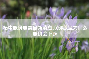 柘中股份股票最新消息,底部放量为什么股价会下跌