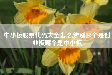 中小板股票代码大全,怎么辨别哪个是创业板哪个是中小板