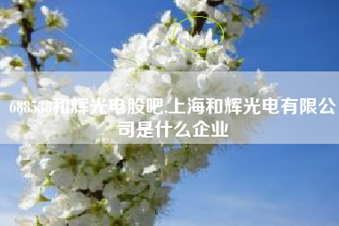 688538和辉光电股吧,上海和辉光电有限公司是什么企业