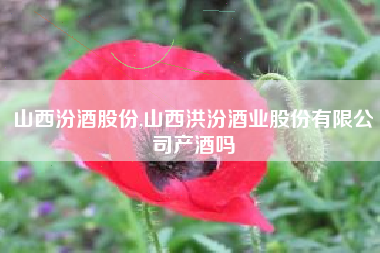 山西汾酒股份,山西洪汾酒业股份有限公司产酒吗