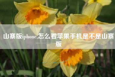 山寨版iphone,怎么看苹果手机是不是山寨版