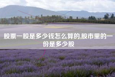 股票一股是多少钱怎么算的,股市里的一份是多少股
