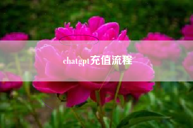 chatgpt充值流程