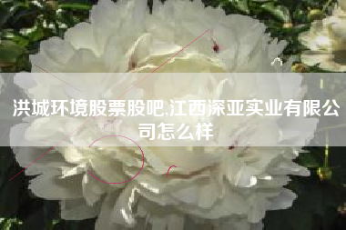 洪城环境股票股吧,江西深亚实业有限公司怎么样