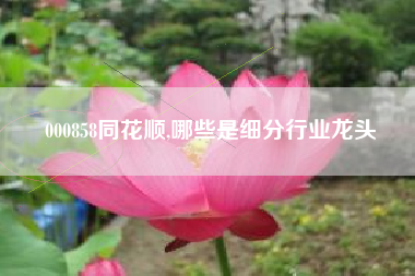 000858同花顺,哪些是细分行业龙头