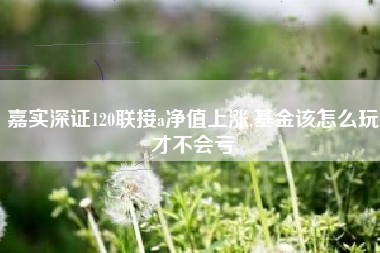 嘉实深证120联接a净值上涨,基金该怎么玩才不会亏