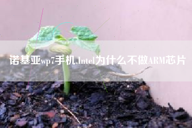 诺基亚wp7手机,Intel为什么不做ARM芯片