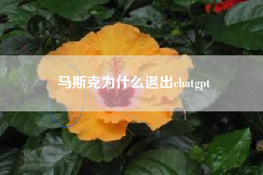 马斯克为什么退出chatgpt