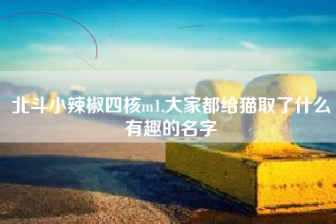 北斗小辣椒四核m1,大家都给猫取了什么有趣的名字
