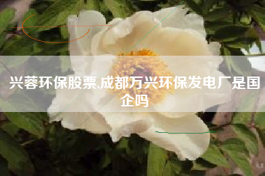 兴蓉环保股票,成都万兴环保发电厂是国企吗
