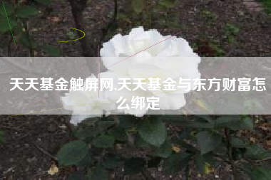 天天基金触屏网,天天基金与东方财富怎么绑定