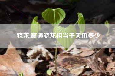 骁龙,高通骁龙相当于天玑多少