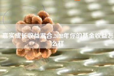 嘉实成长收益混合,2022年你的基金收益怎么样