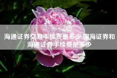 海通证券交易手续费是多少,国海证券和海通证券手续费是多少