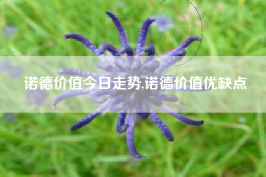 诺德价值今日走势,诺德价值优缺点