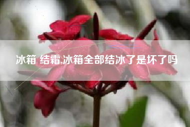 冰箱 结霜,冰箱全部结冰了是坏了吗