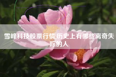 雪峰科技股票行情,历史上有哪些离奇失踪的人