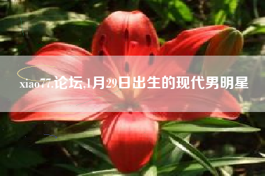 xiao77.论坛,1月29日出生的现代男明星
