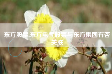东方股票,东方电气股票与东方集团有否关联