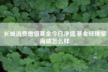 长城消费增值基金今日净值,基金经理黎海威怎么样