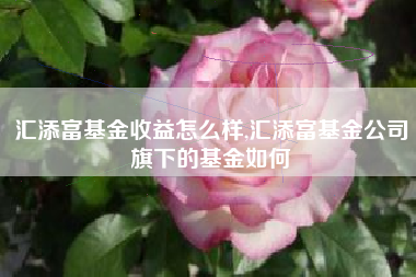 汇添富基金收益怎么样,汇添富基金公司旗下的基金如何