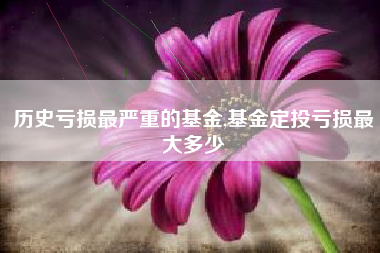 历史亏损最严重的基金,基金定投亏损最大多少