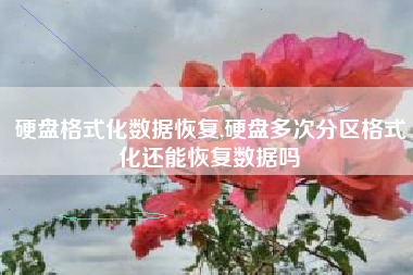 硬盘格式化数据恢复,硬盘多次分区格式化还能恢复数据吗