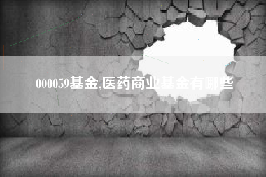 000059基金,医药商业基金有哪些