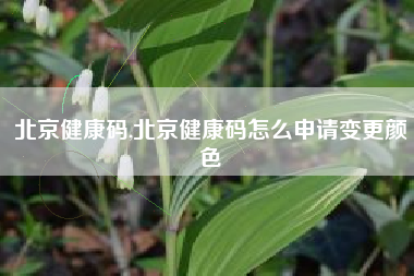 北京健康码,北京健康码怎么申请变更颜色