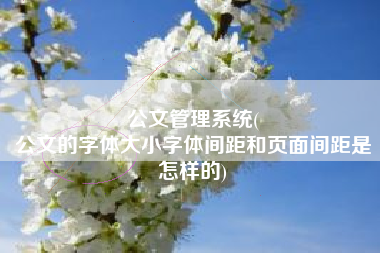 公文管理系统(
公文的字体大小字体间距和页面间距是怎样的) 公文管理系统(
公文的字体大小字体间距和页面间距是怎样的)