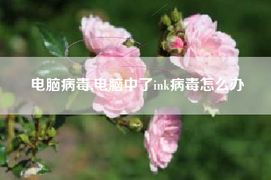 电脑病毒,电脑中了ink病毒怎么办