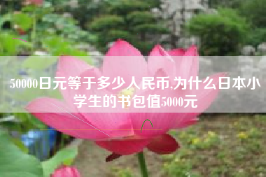 50000日元等于多少人民币,为什么日本小学生的书包值5000元