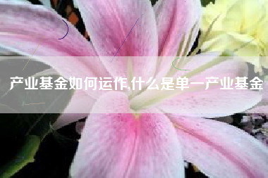 产业基金如何运作,什么是单一产业基金