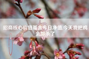 招商核心价值基金今日净值,今天我把鸡全部杀了