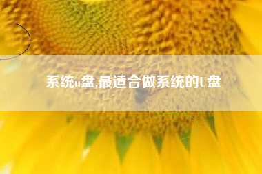 系统u盘,最适合做系统的U盘