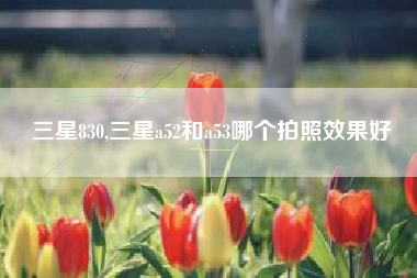 三星830,三星a52和a53哪个拍照效果好