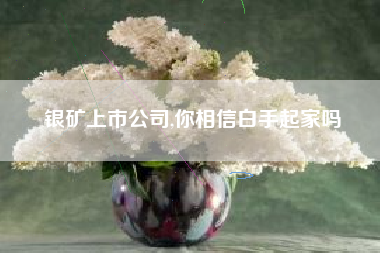 银矿上市公司,你相信白手起家吗