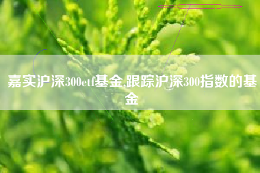 嘉实沪深300etf基金,跟踪沪深300指数的基金