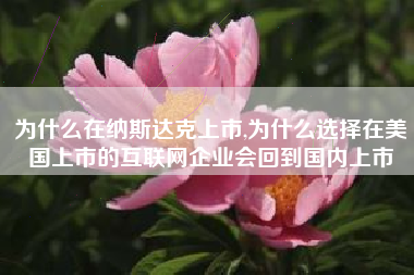 为什么在纳斯达克上市,为什么选择在美国上市的互联网企业会回到国内上市