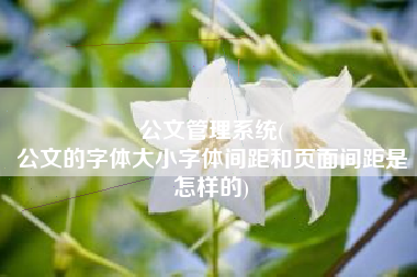 公文管理系统(
公文的字体大小字体间距和页面间距是怎样的) 公文管理系统(
公文的字体大小字体间距和页面间距是怎样的)