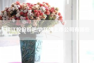 详细阅读:银江股份股吧,物联网上市公司有哪些 银江股份股吧,物联网上市公司有哪些