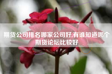 期货公司排名哪家公司好,有谁知道哪个期货论坛比较好