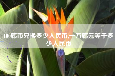 100韩币兑换多少人民币,一万韩元等于多少人民币
