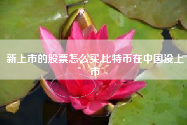 新上市的股票怎么买,比特币在中国没上市