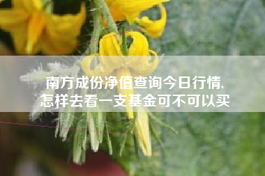 南方成份净值查询今日行情,
怎样去看一支基金可不可以买 南方成份净值查询今日行情,
怎样去看一支基金可不可以买